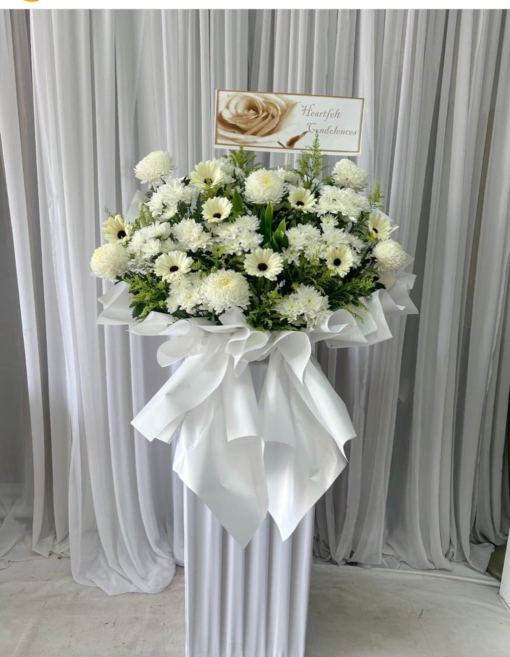 WhatsApp Image 2025-11-13 at 11.11.30 AM (1)