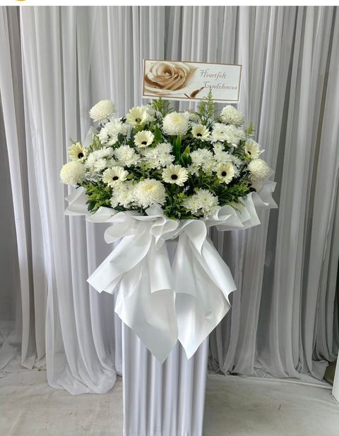 WhatsApp Image 2025-11-13 at 11.11.30 AM (1)