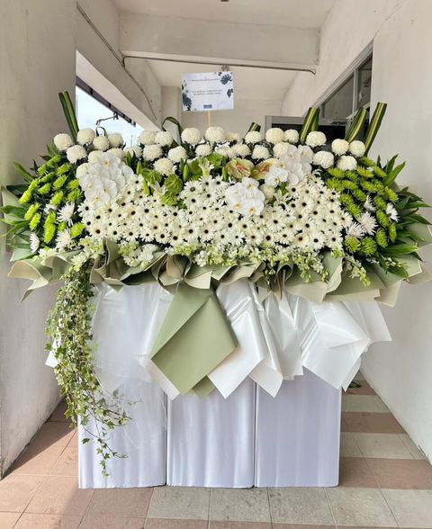 WhatsApp Image 2025-11-14 at 3.59.40 PM