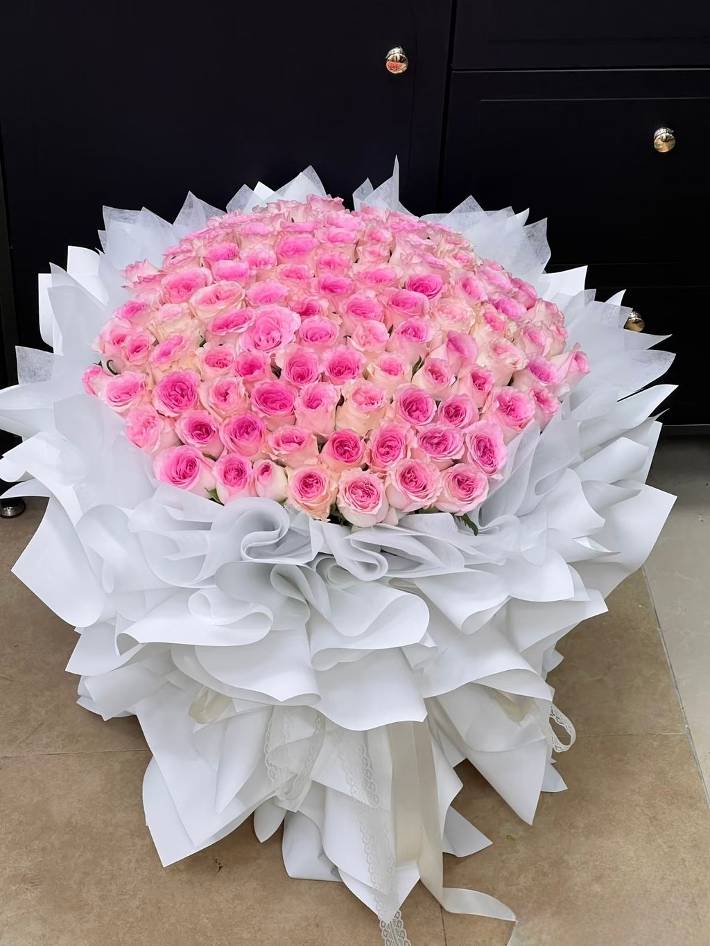 image_0191C5C7-FEDF-4B53-A135-8170A1609A1B_1765250361