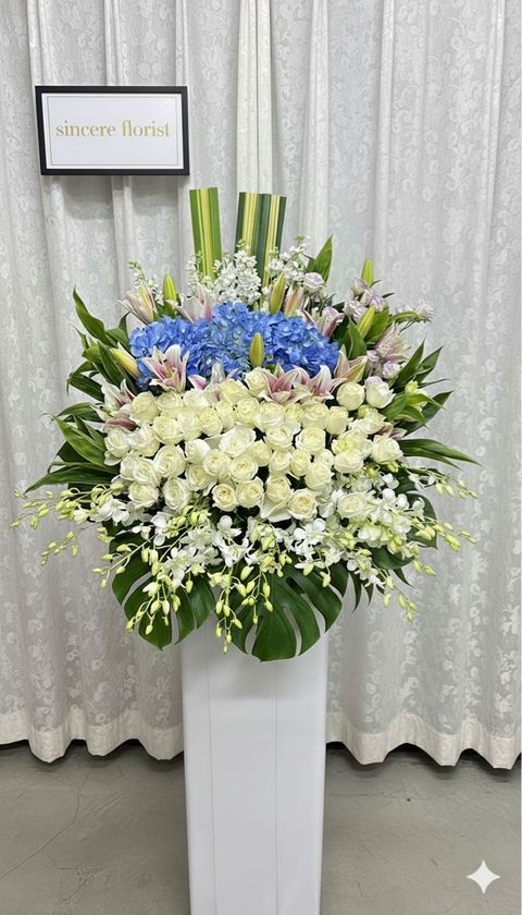 WhatsApp Image 2025-12-17 at 11.45.08 AM