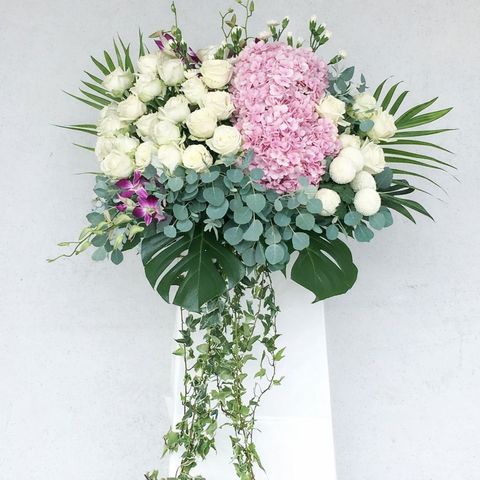 WhatsApp Image 2026-01-14 at 12.36.17 PM