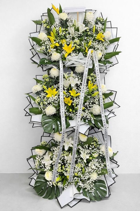 WhatsApp Image 2026-01-24 at 5.25.30 PM