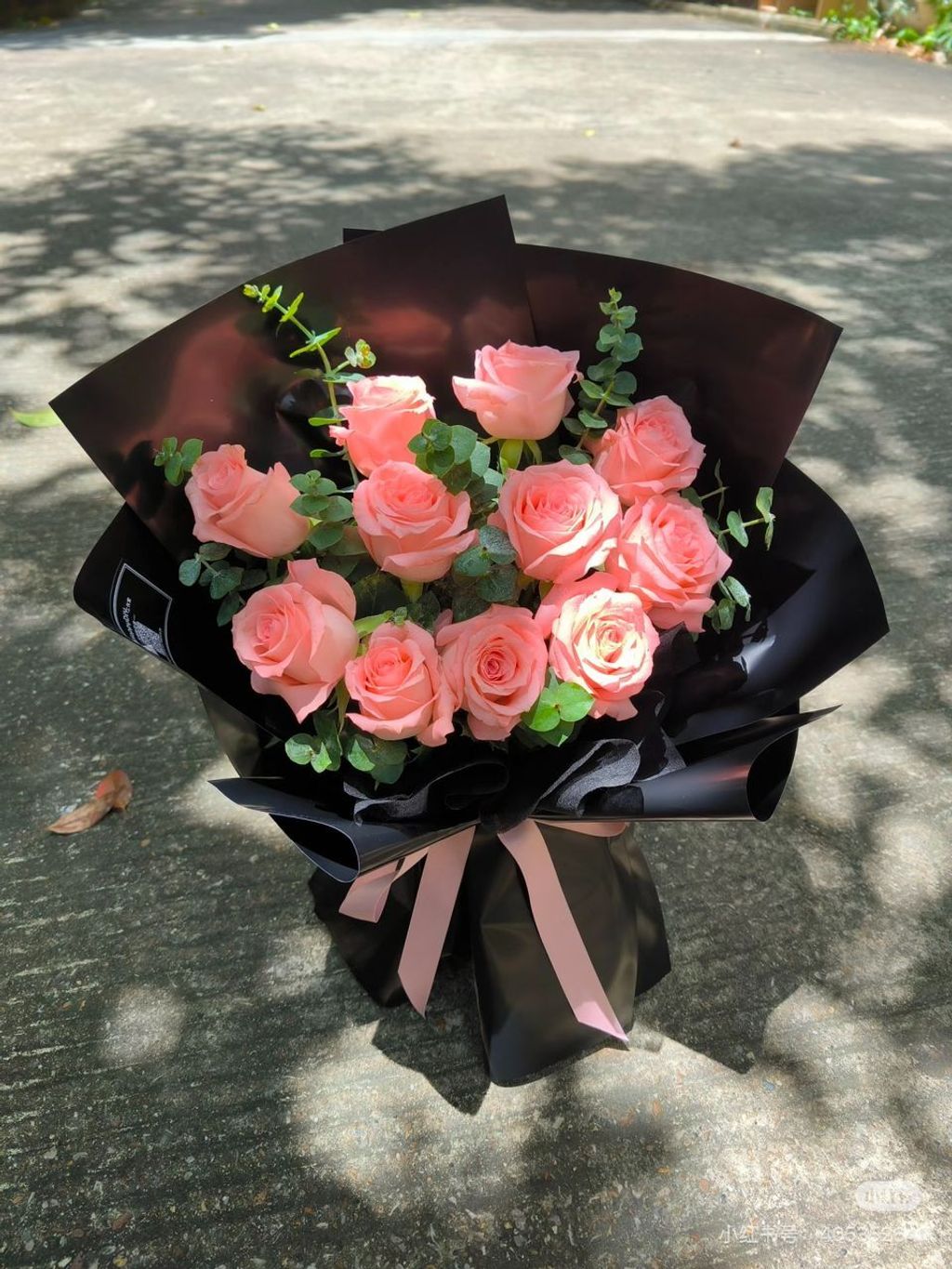 WhatsApp Image 2026-01-25 at 10.22.57 AM