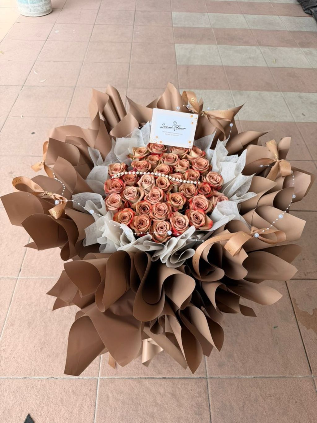 WhatsApp Image 2026-02-13 at 3.03.31 PM