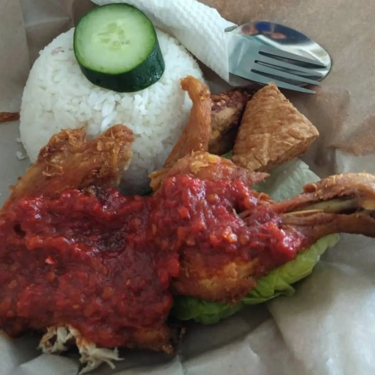 Nasi Ayam Penyet Kaw-Kaw VIRAL