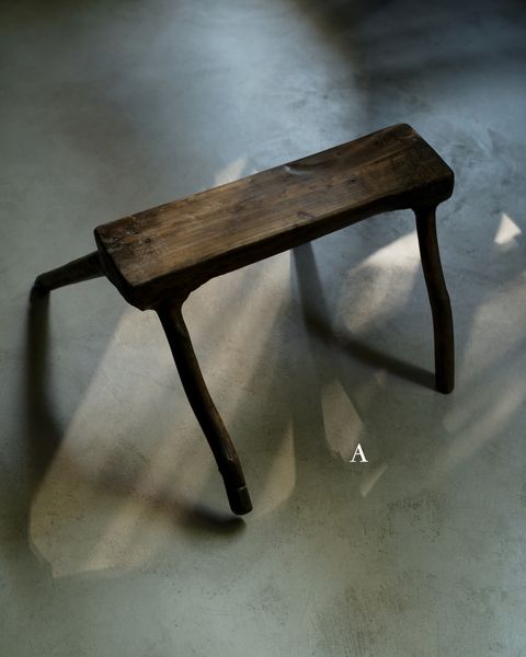 L1009217.jpg