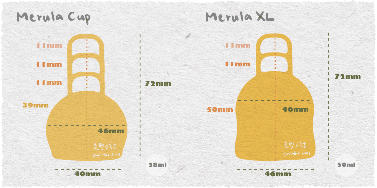 merula size.png