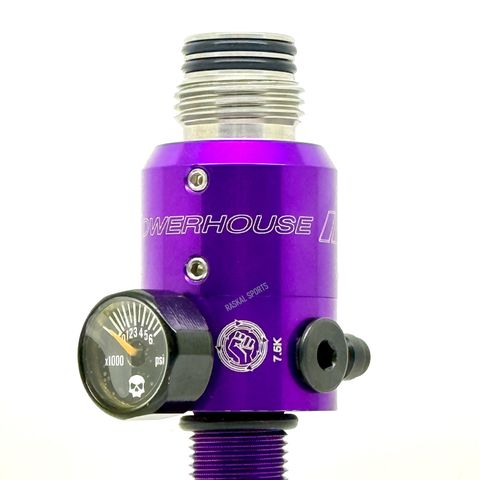 Powerhouse Counterpunch regulator standard purple 01