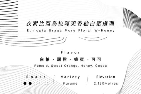衣索比亞烏拉嘎白蜜