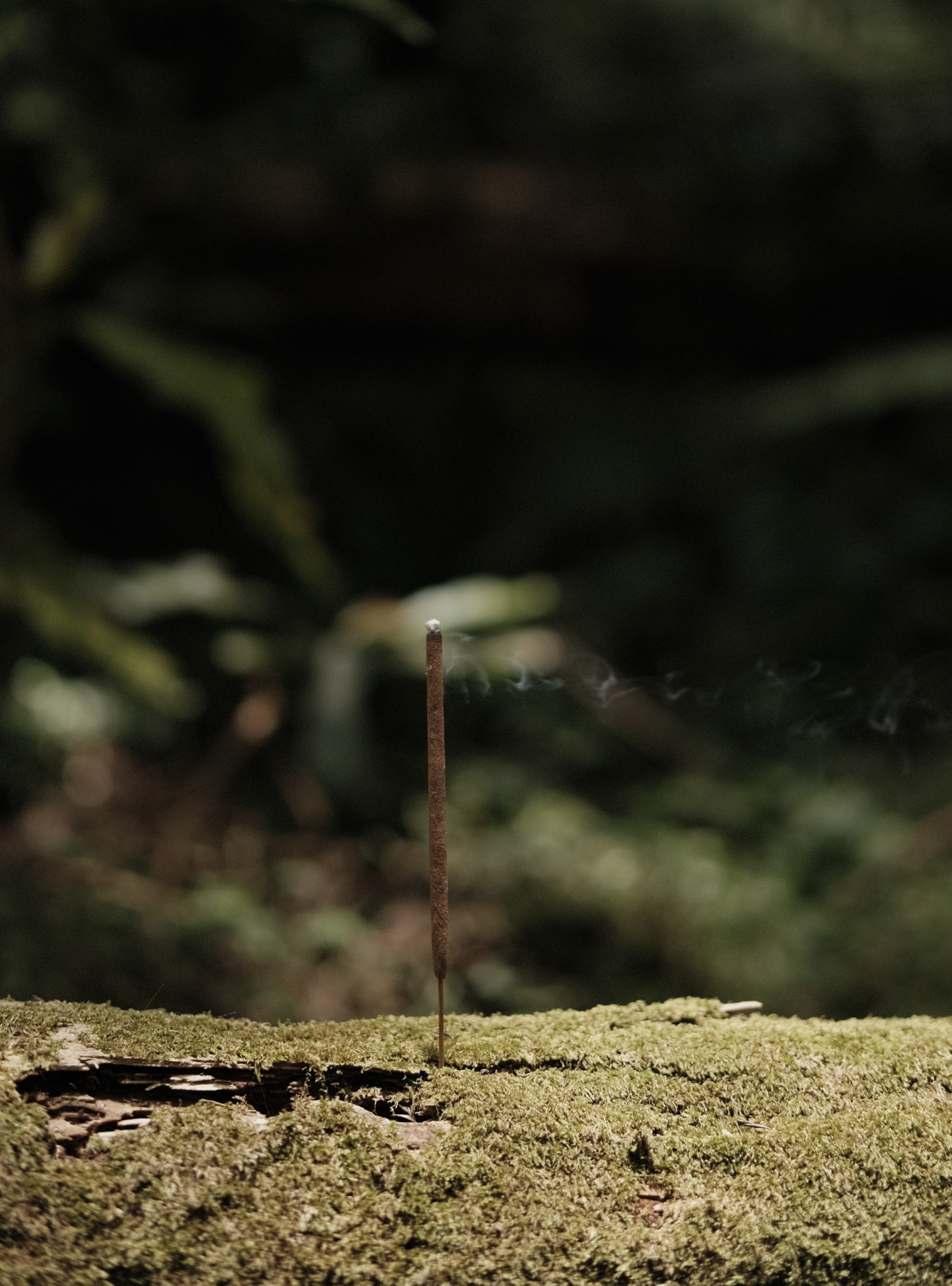  | Absence O