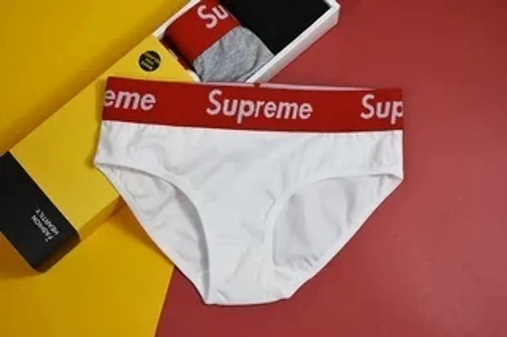 IMG_3880-1702587095393