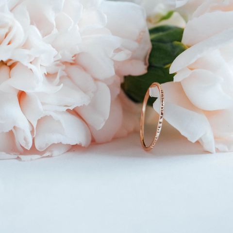 PJ square pics_201104_262.jpg