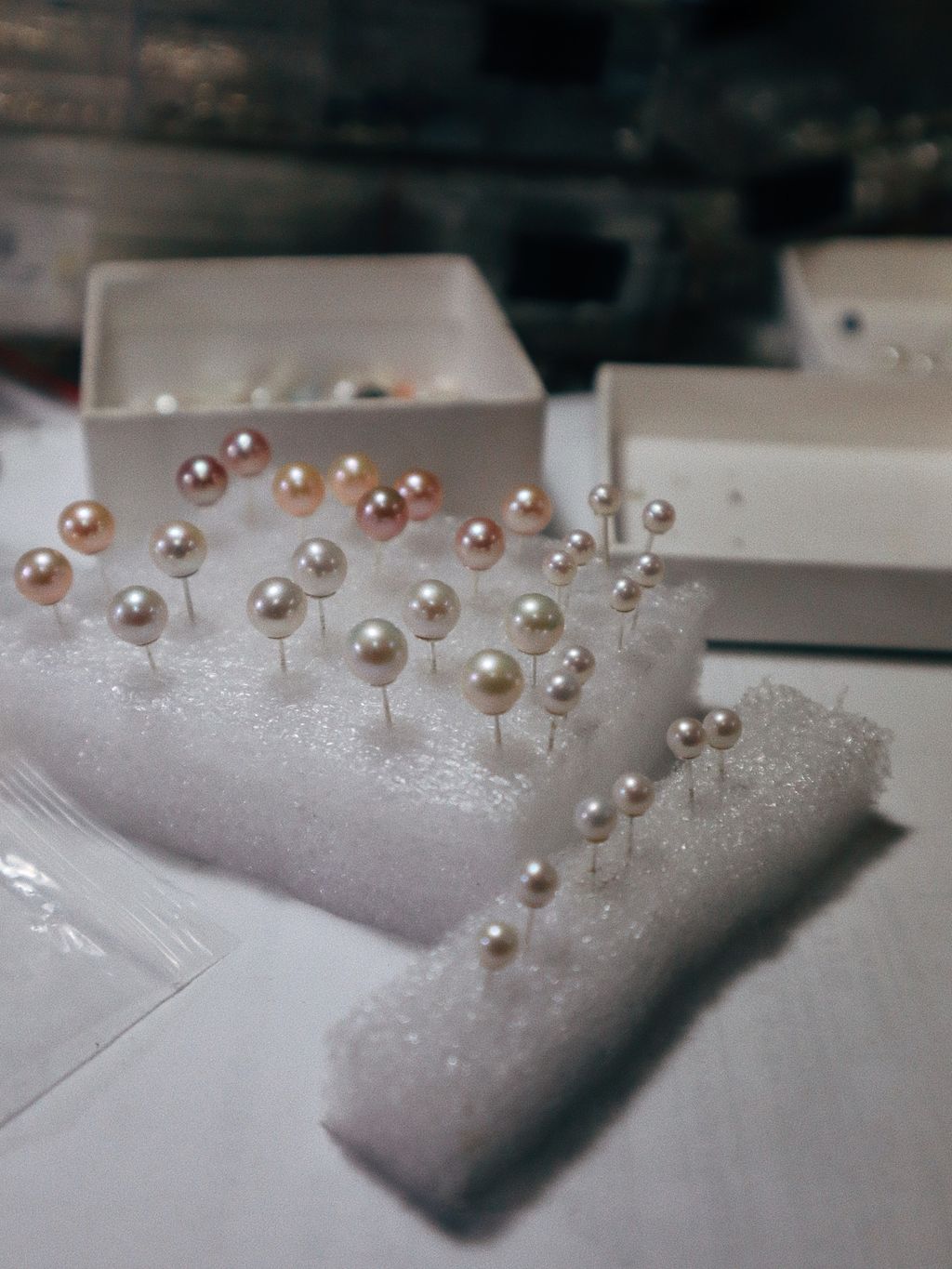 9004C670-8277-441B-9E89-27FA756C555A