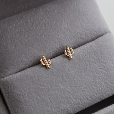 IMG_3824-1737611617736