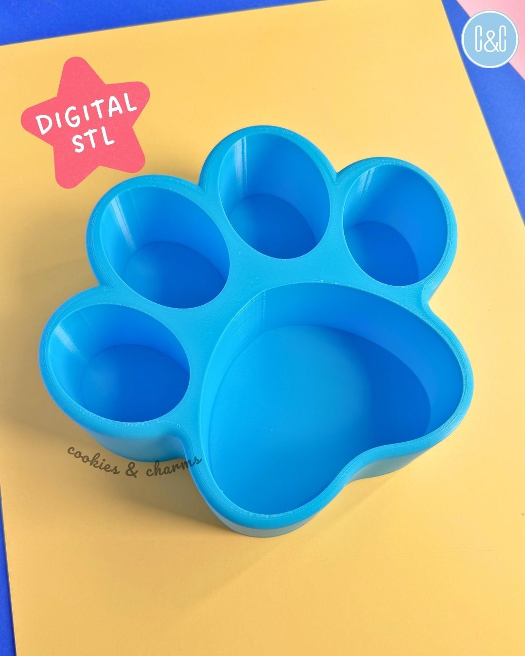 Digital paw print box (3)