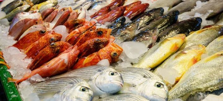 Fresh-Fish-Display_750x339.jpg