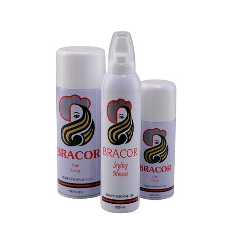 Bracor Hair Styling Series.JPG