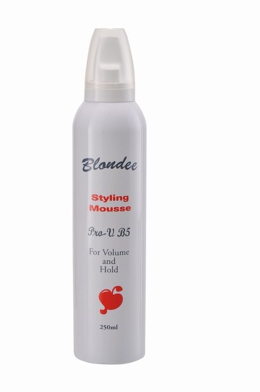 250ml Blondee Hair Styling Mousse.jpg