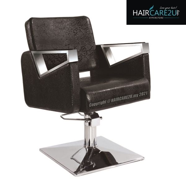 HL6300V5 Salon Chair.jpg