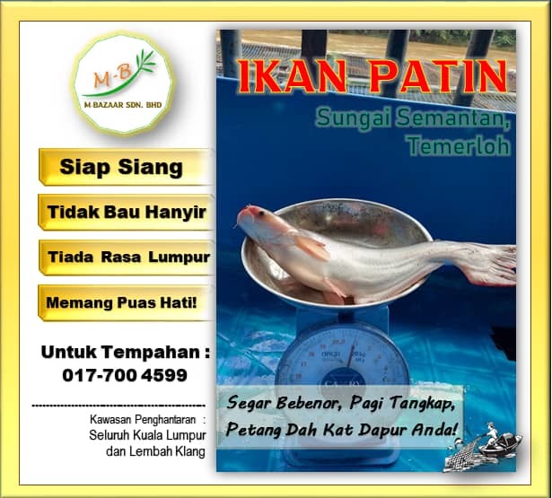 Sejuk Beku Ikan Patin Sungai Semantan Temerloh M Bazaar Sdn Bhd