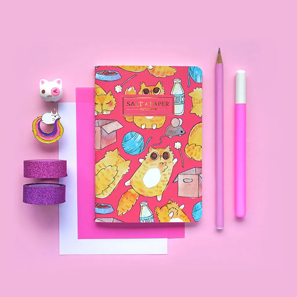 kitty dream.jpg