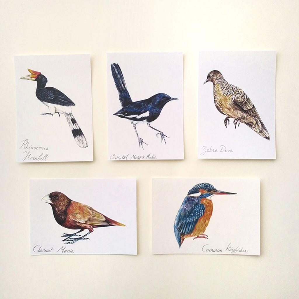 Postcard set- birds of asia.jpeg