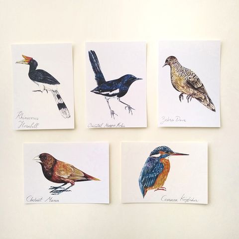 Postcard set- birds of asia.jpeg