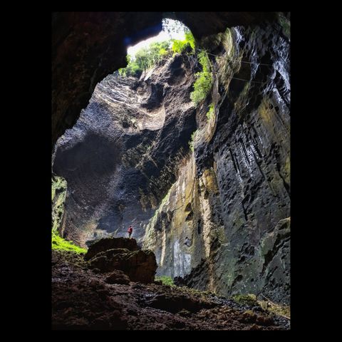 Gomantong Caves(1).jpg