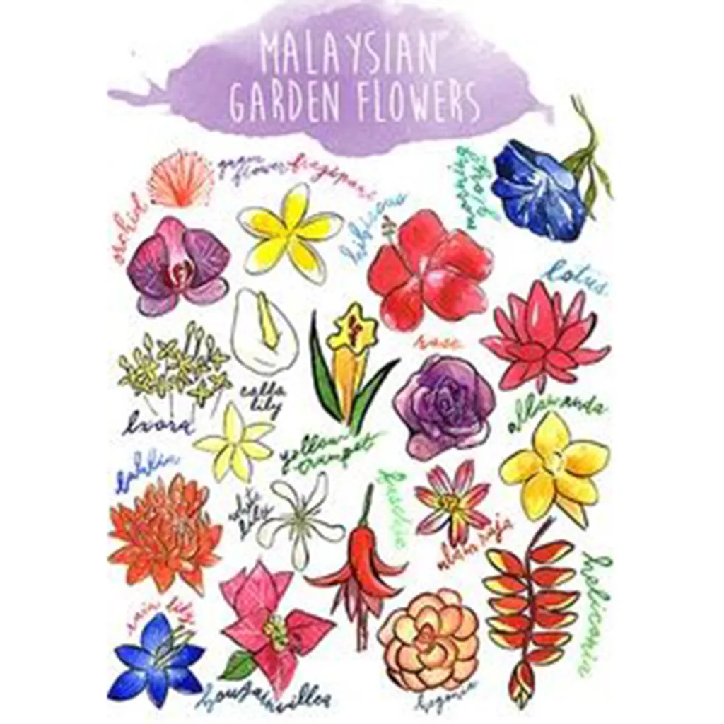 malaysian flowers postcard.JPG