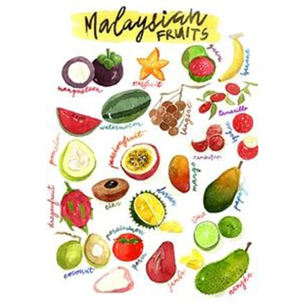 malaysian fruits postcard.JPG