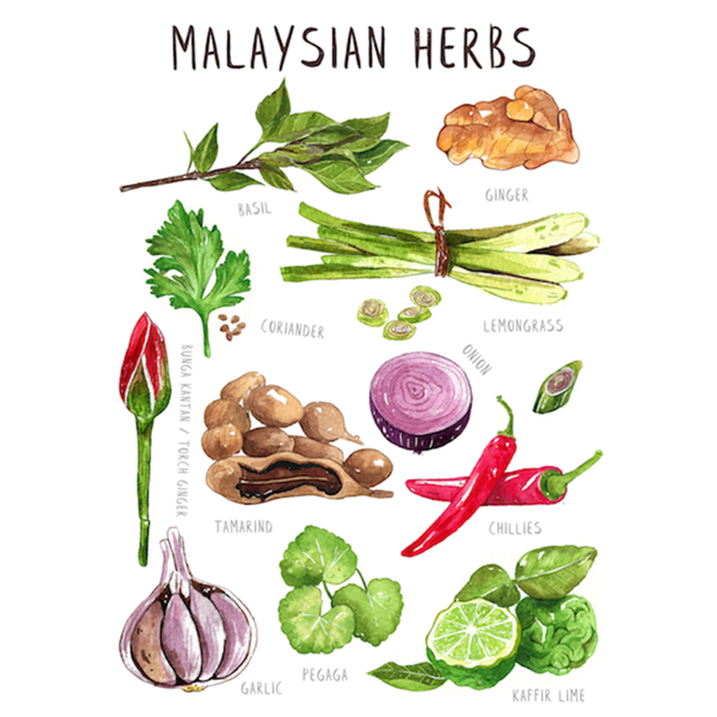Malaysian-Herbs-Postcard.png