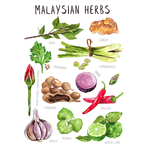 Malaysian-Herbs-Postcard.png