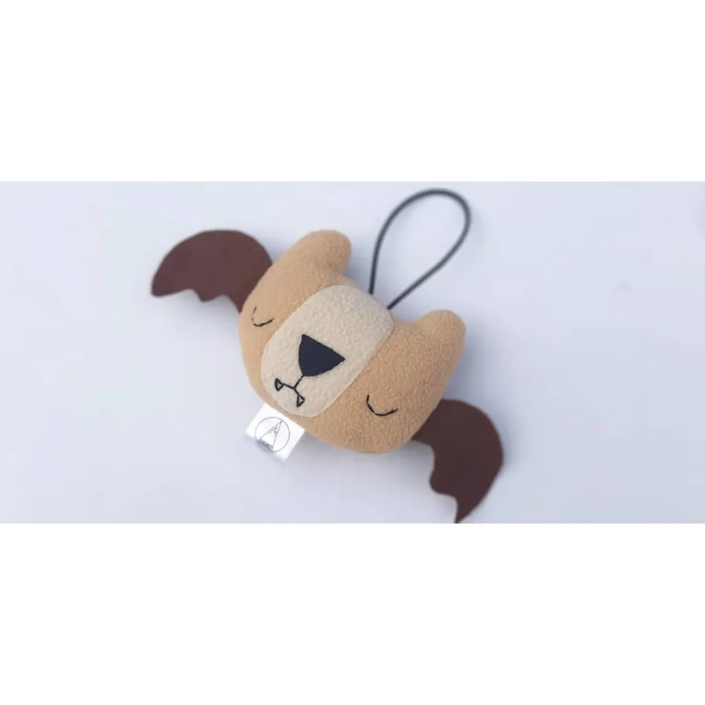 Bat-Bear Hanging.jpg