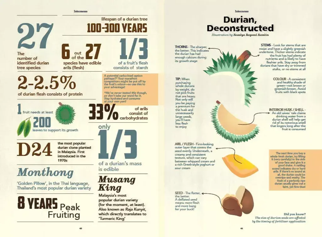 Plates_durian_infographic_low2