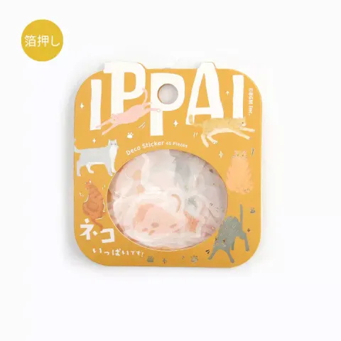 BGM cats