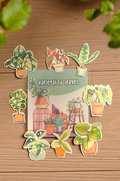 CuriousPots_Variegated Leaves Sticker Pack_01