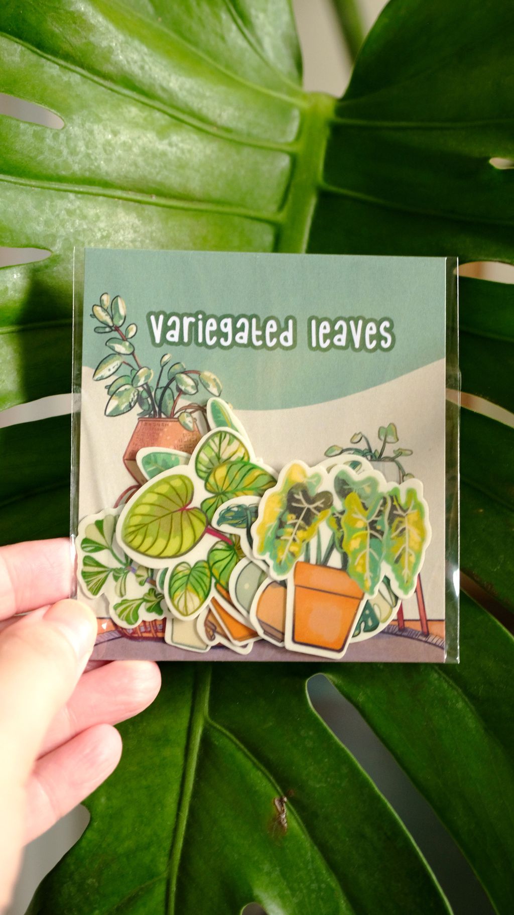 CuriousPots_Variegated Leaves Sticker Pack_02