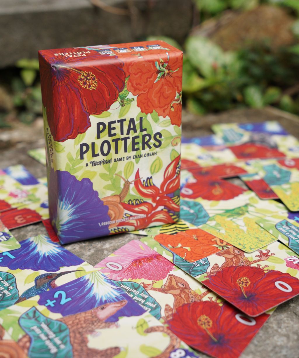 Petal-Plotters_Box-n-Cards_1