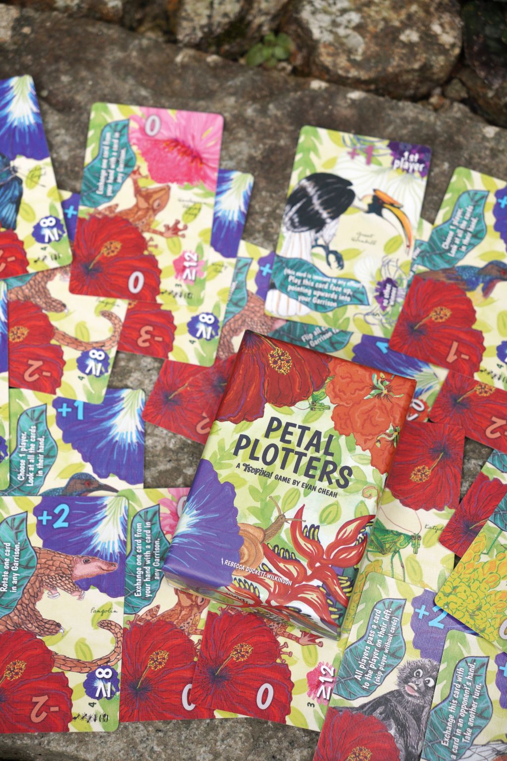 Petal-Plotters_Box-n-Cards_3
