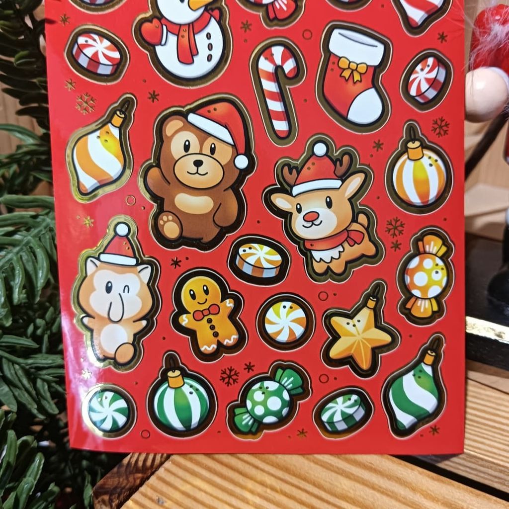 WhatsApp Image 2025-11-08 at 11.34.28 AM (1)