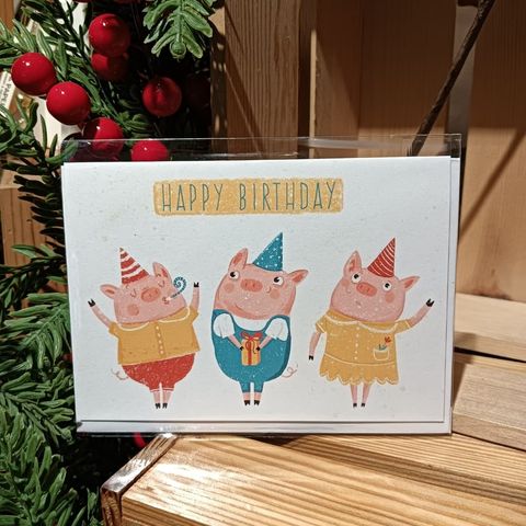 WhatsApp Image 2025-11-08 at 4.58.55 PM (1)