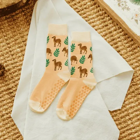 LTz4YtSq68f06146010fc_1760584006