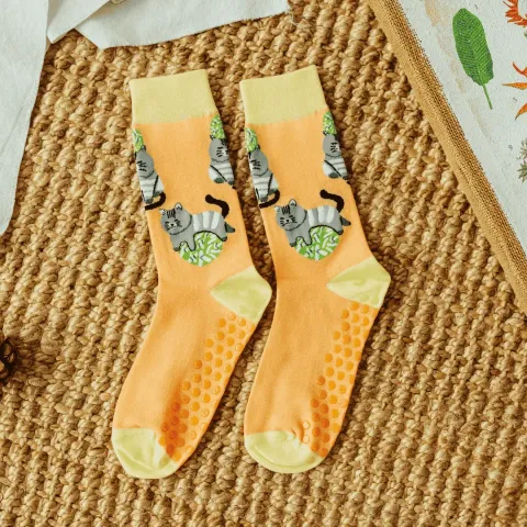 323eLPy268f066c975774_1760585417