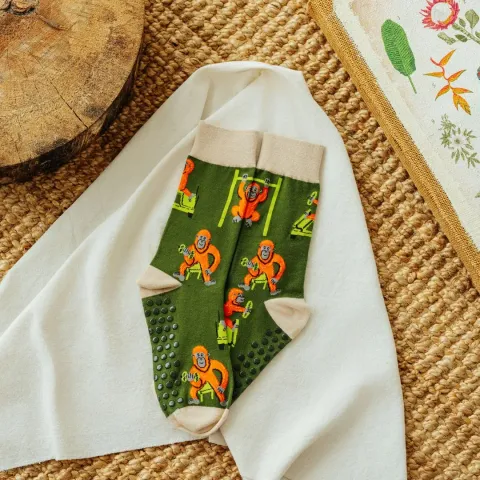 KzMoUj9l690592ee7cd44_1761972974