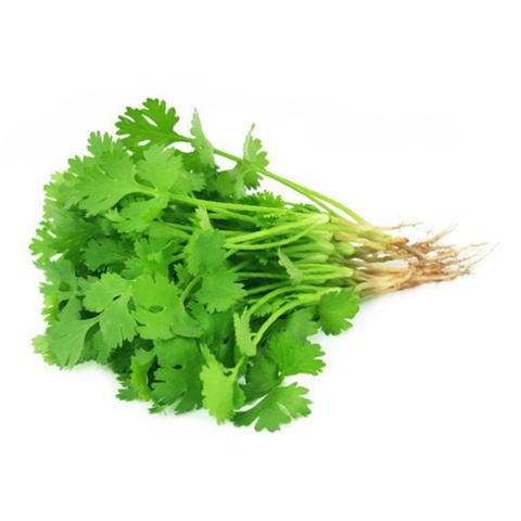 DAUN KETUMBAR.png