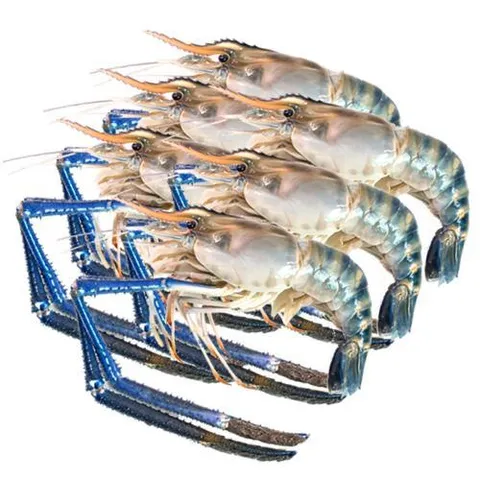 udang galah.jpeg