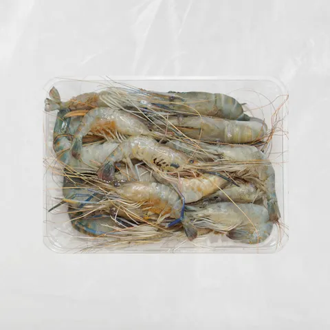 Udang_Galah.jpg