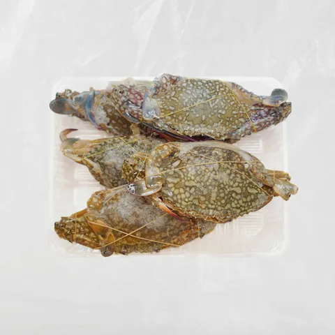 Ketam_Bunga.jpg
