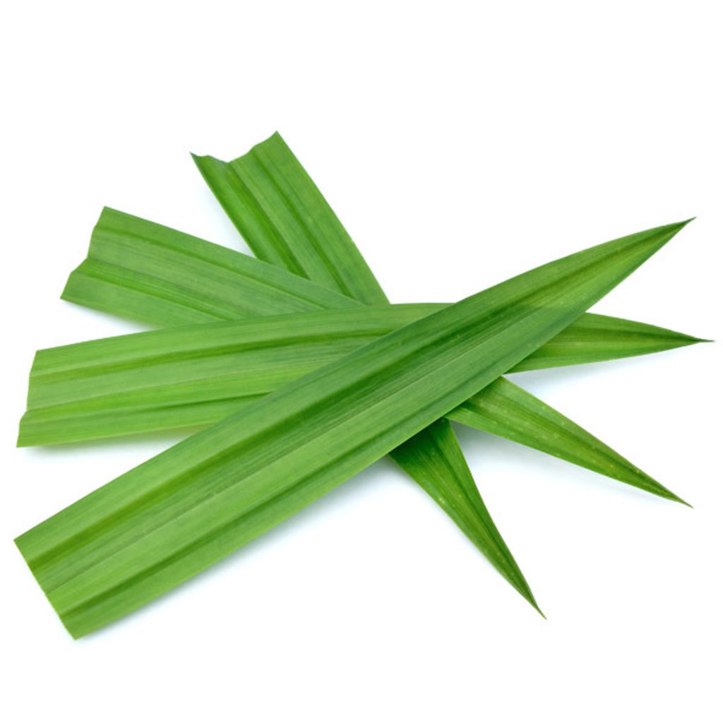 Daun Pandan Pandan Leaf (Seikat / Bundle) Wadood Mart Daun Pandan Pandan Leaf (Seikat / Bundle) Wadood Mart